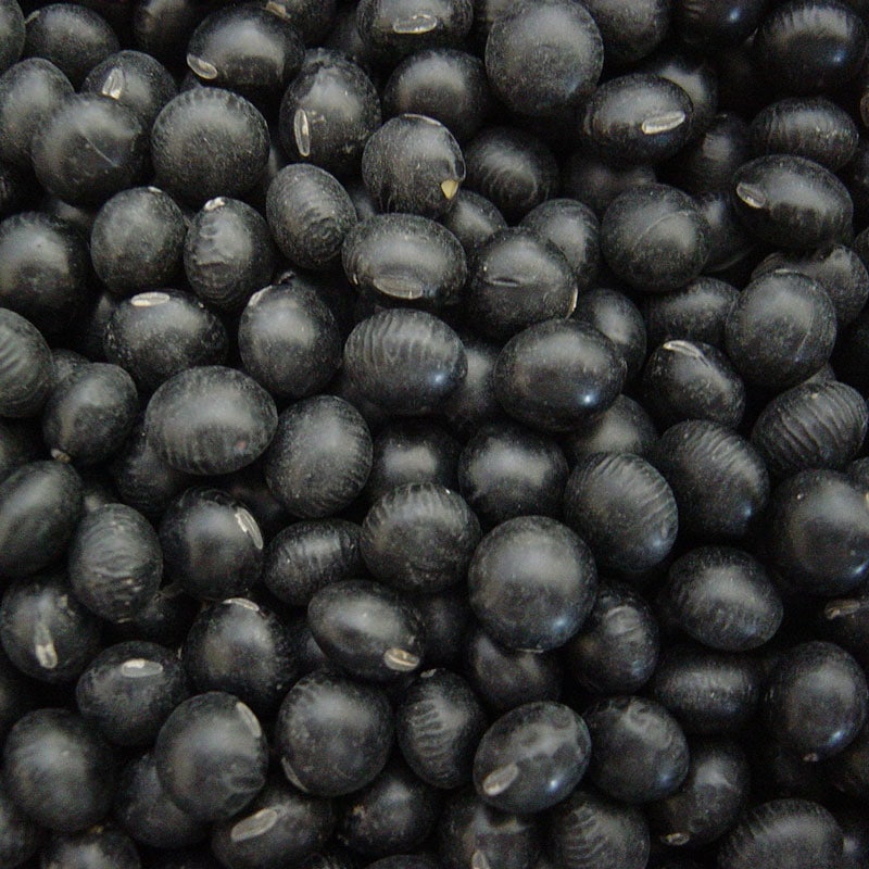黒大豆 1kg（7年産） | 豆 | 大雪山農園