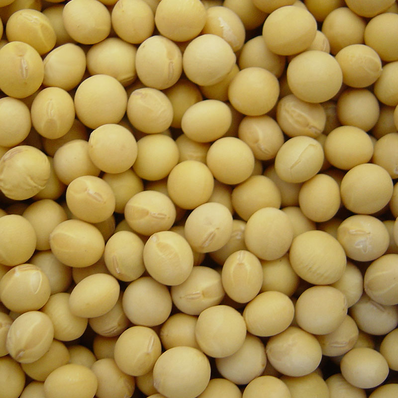 大豆 300g（6年産） | 豆 | 大雪山農園