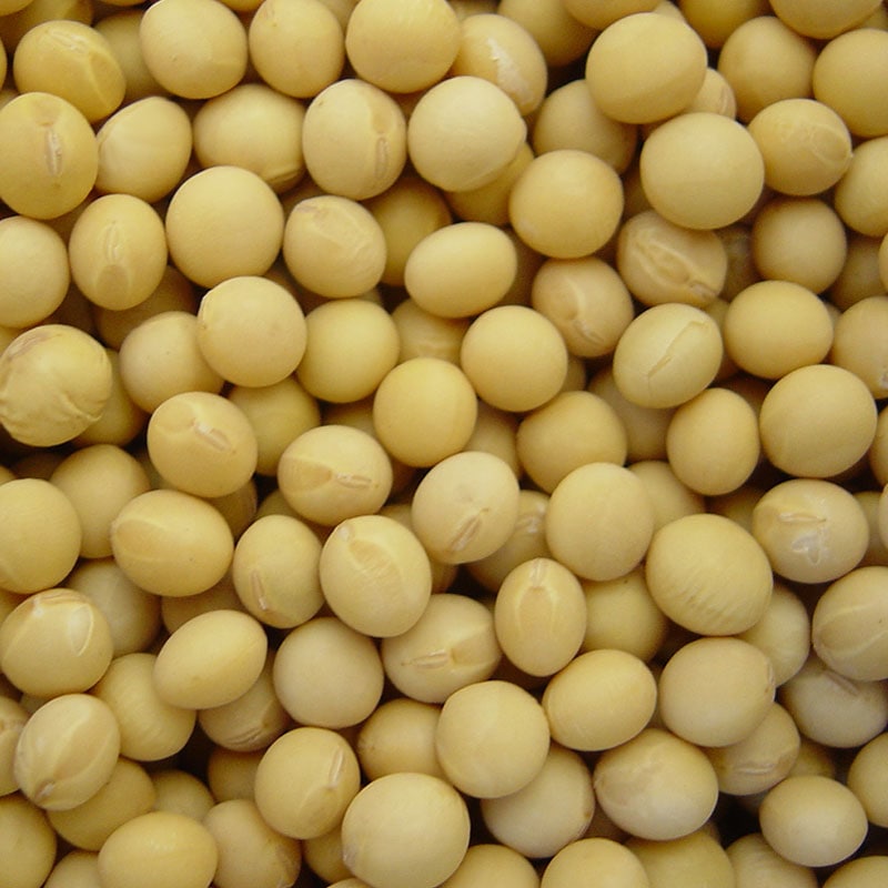 大豆 300g（6年産） | 豆 | 大雪山農園