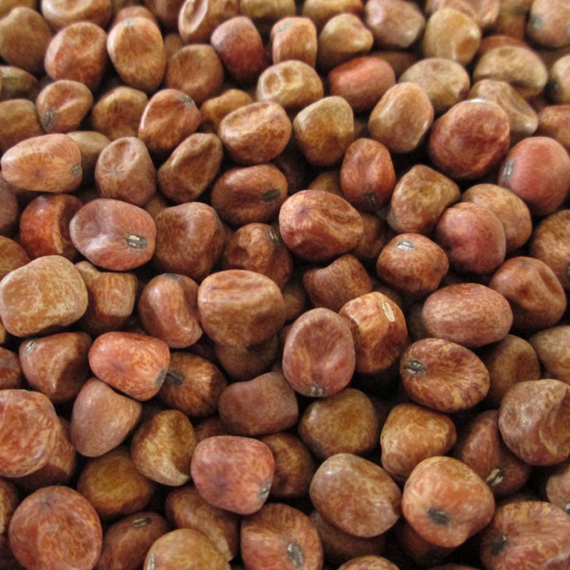 赤えんどう 300g（7年産） | 豆 | 大雪山農園