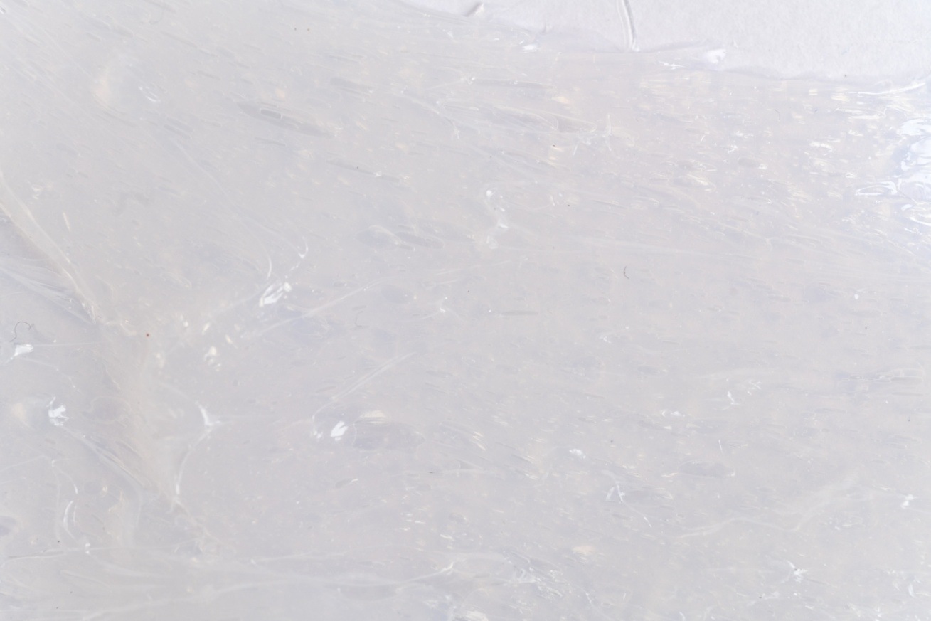 アストラ24K　ソリッドタイプ