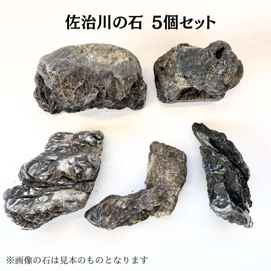 佐治石〈26〉【Taiyoメダカ】 佐治石〈26〉【Taiyoメダカ】 TAIYOメダカ 水草/景観水石