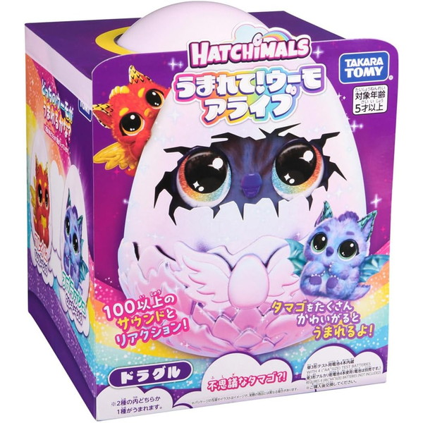 ����ŵ�դ��ۤ��ޤ�ơ������� ���饤�� �ɥ饰�� �����������Բ�