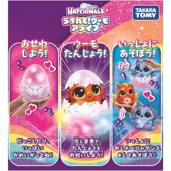 ����ŵ�դ��ۤ��ޤ�ơ������� ���饤�� �ɥ饰�� �����������Բ�