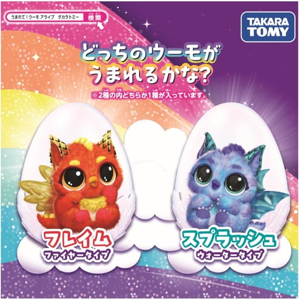 ����ŵ�դ��ۤ��ޤ�ơ������� ���饤�� �ɥ饰�� �����������Բ�