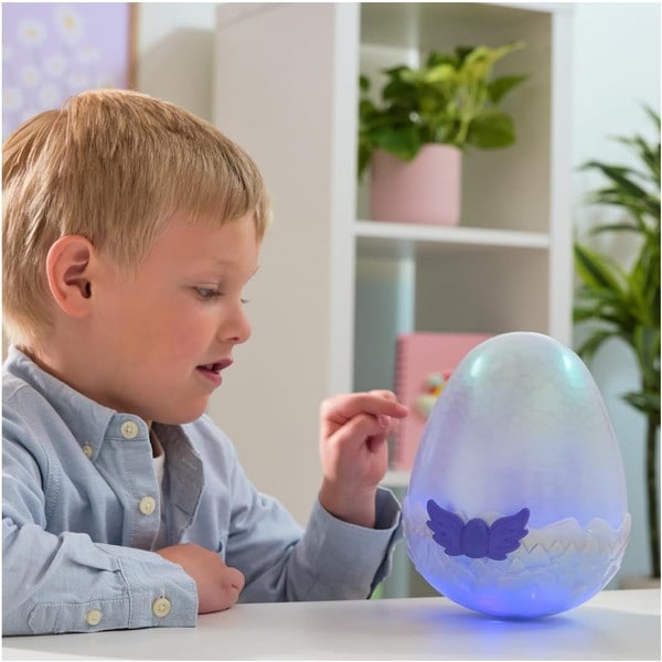 ����ŵ�դ��ۤ��ޤ�ơ������� ���饤�� �ɥ饰�� �����������Բ�