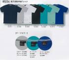 ����Ʋ 85234 �۴�®��ȾµT����� 4L5L