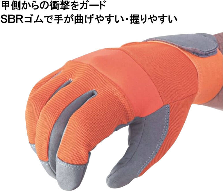 �ǿ��ѥå���¢���ٻΥ��������� ��ư�����Ѽ��� ���󥷥�3L �ޤȤ��㤤10��