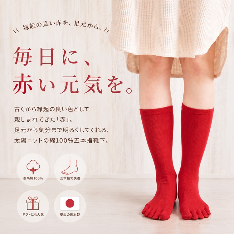 赤の綿5本指靴下
