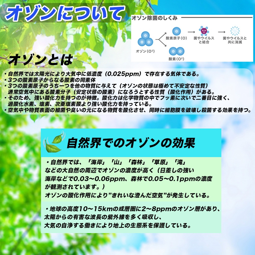 ������ȯ���� SANY-CAR(���ˡ�����) ���˥ƥ������ƥ� ���⡢�ļ��� ���ݾý� �����륹 ��ǻ�� æ����