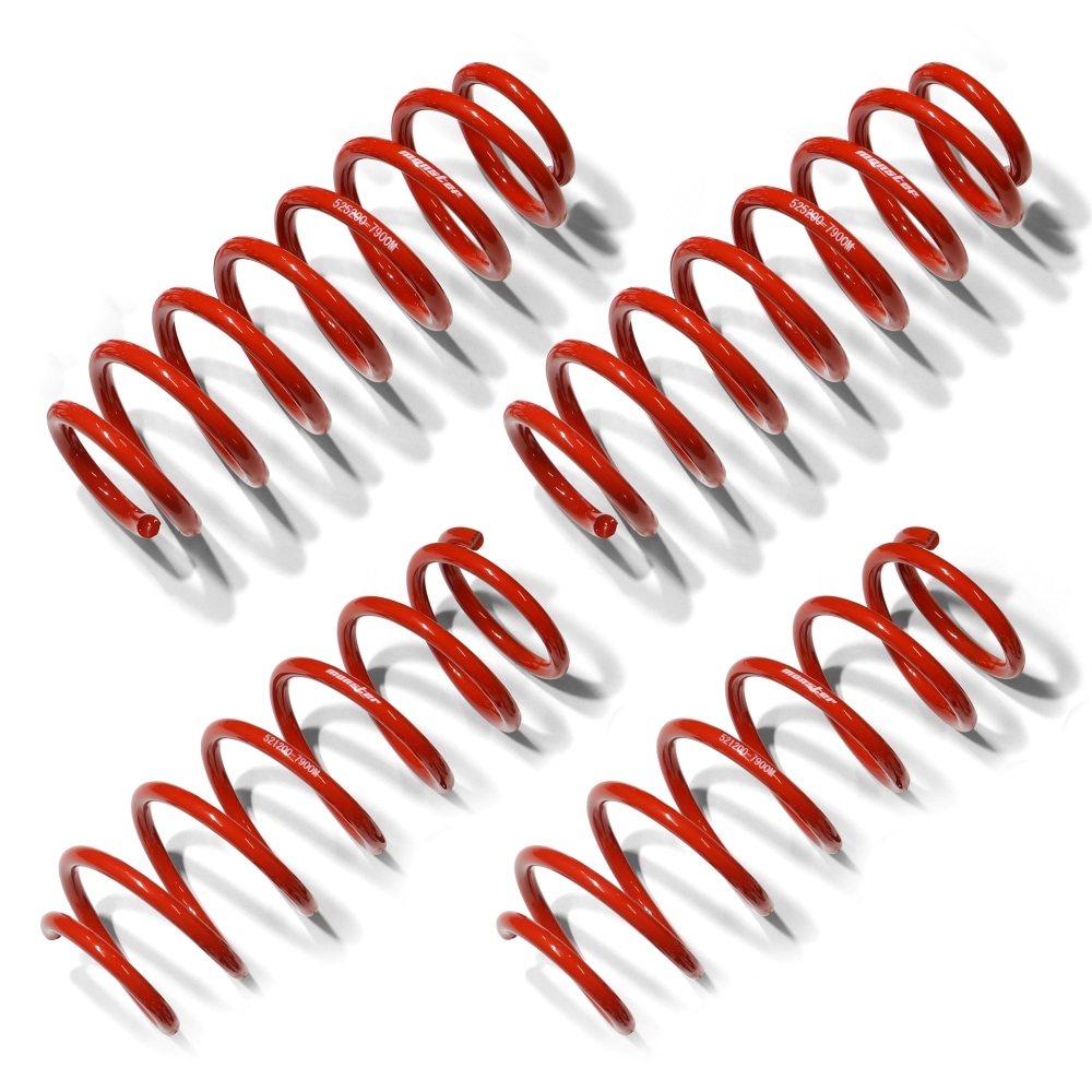 MONSTERSPORT[モンスタースポーツ][ハイトアップスプリングセット