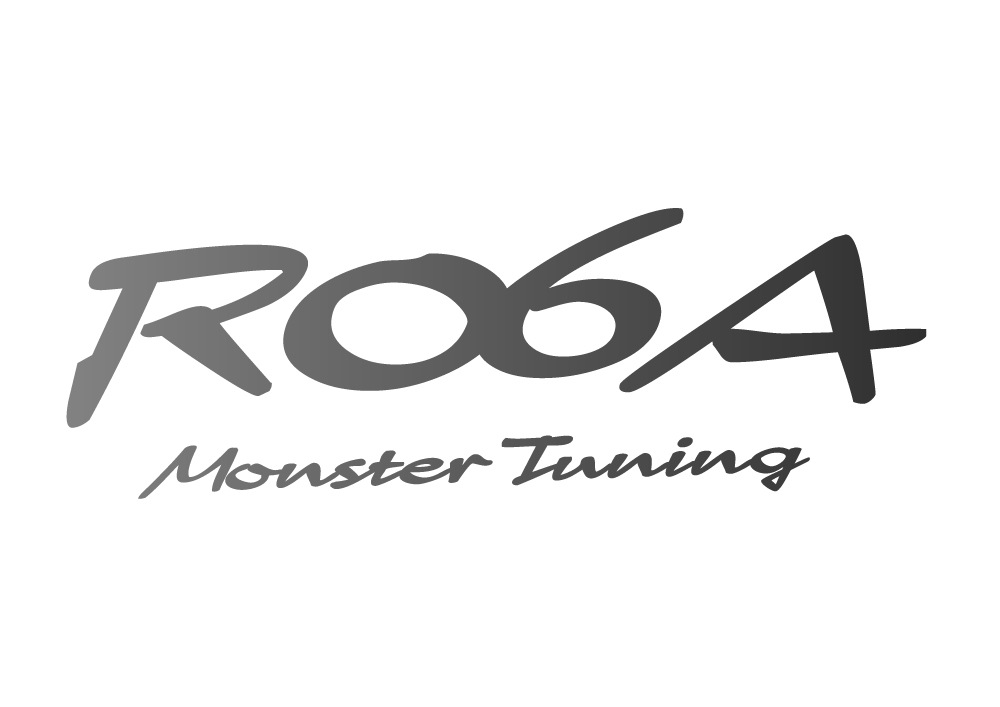 [R06A Monster Tuning ƥå]ȥ/ϥ顼/ͣҥ若/若 ᥿*椦ѥå