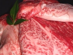 ���ͥ磻��ӡ��� �����ƿ��٤����(�����������)