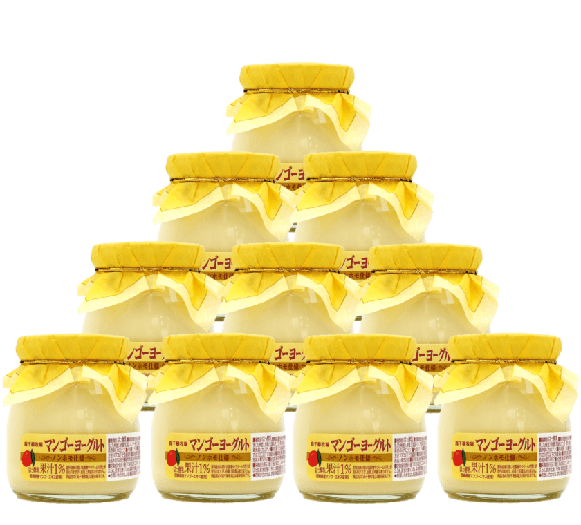 【送料込】マンゴーヨーグルト　　10個入り