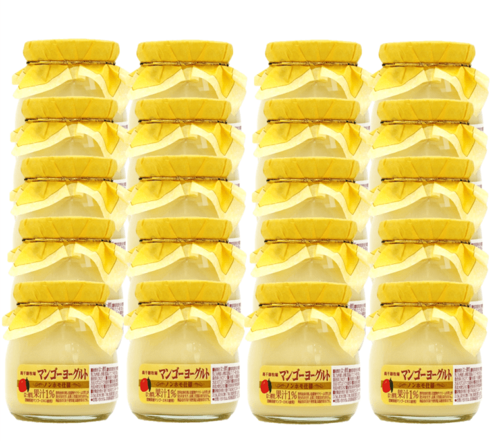 【送料込】マンゴーヨーグルト　　20個入り