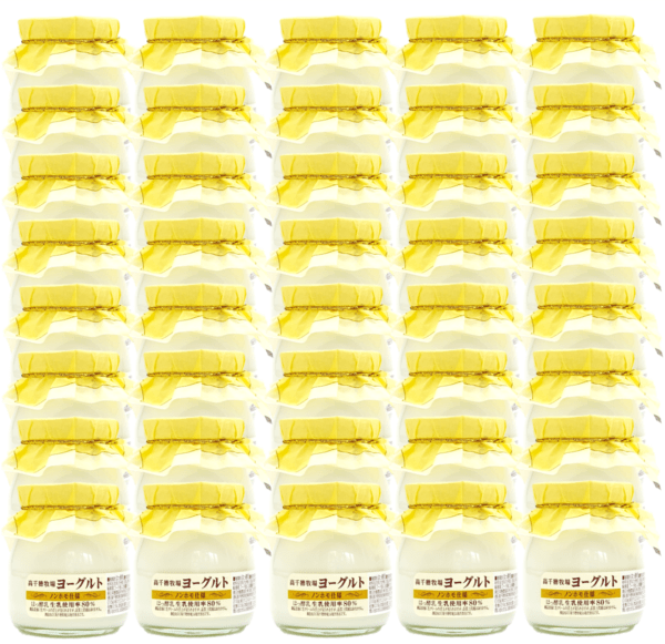 【送料込】高千穂牧場ヨーグルト(ノンホモ仕様)　40個入り