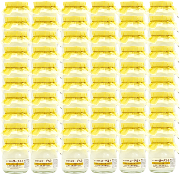 【送料無料】高千穂牧場ヨーグルト(ノンホモ仕様)　60個入り
