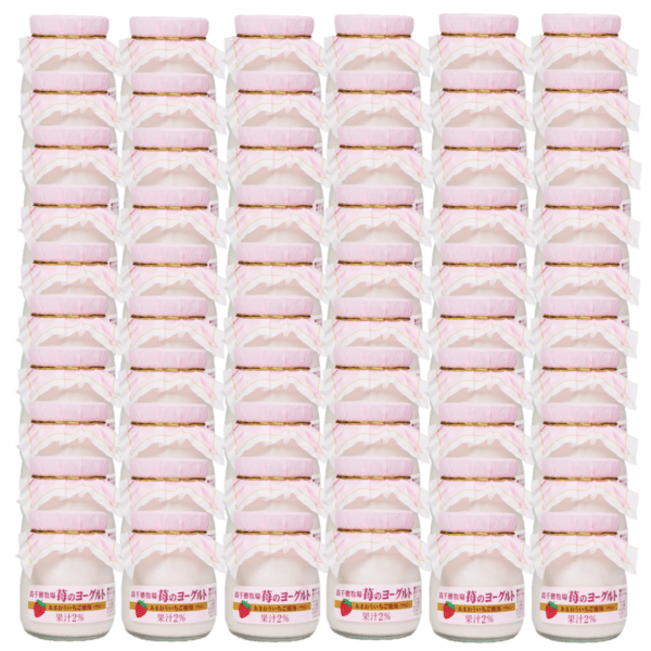 【送料無料】苺のヨーグルト　　60個入り