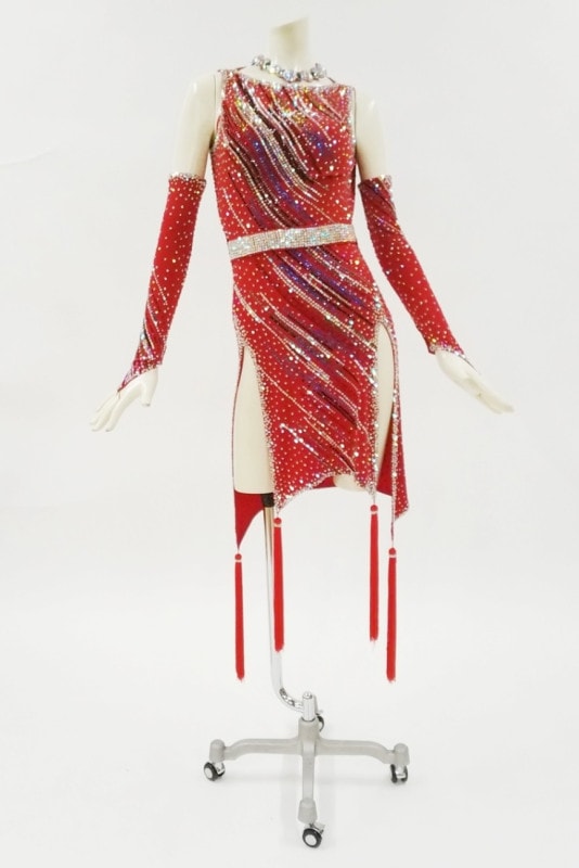 専用！お値下げ！社交ダンスラテンドレス！カサブランカ製LatvijaLatin！ 専用！お値下げ！社交ダンスラテンドレス！カサブランカ製