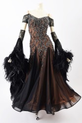 ɥɥ쥹TDF-SM1754AM֥å/ץΡS