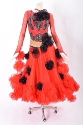 ɥɥ쥹WS0640Då/֥å SҸ󥹡ɥ쥹ܡ롼ɥ쥹