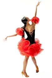 �ڥ֥�å�/��å����١�3L-00172 �������󥹡� ��ƥ�ɥ쥹���üҸ���󥹡�