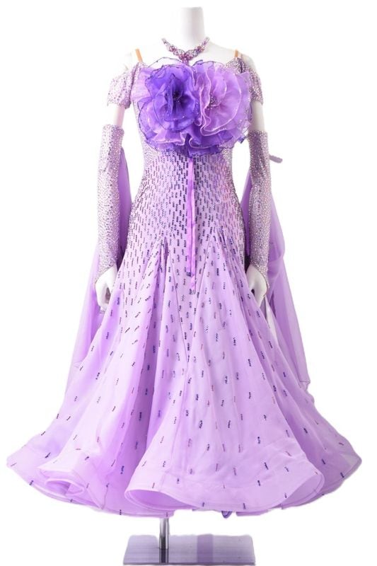 ɥɥ쥹WS0668D饤å/ѡץ롡  SҸ󥹡ɥ쥹ܡ롼ɥ쥹