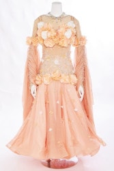 社交ダンス　薔薇色のドレス　美品　小さめSサイズ タカダンス LADIES,ドレス,Sサイズ takadance.shop 社交ダンス 衣装