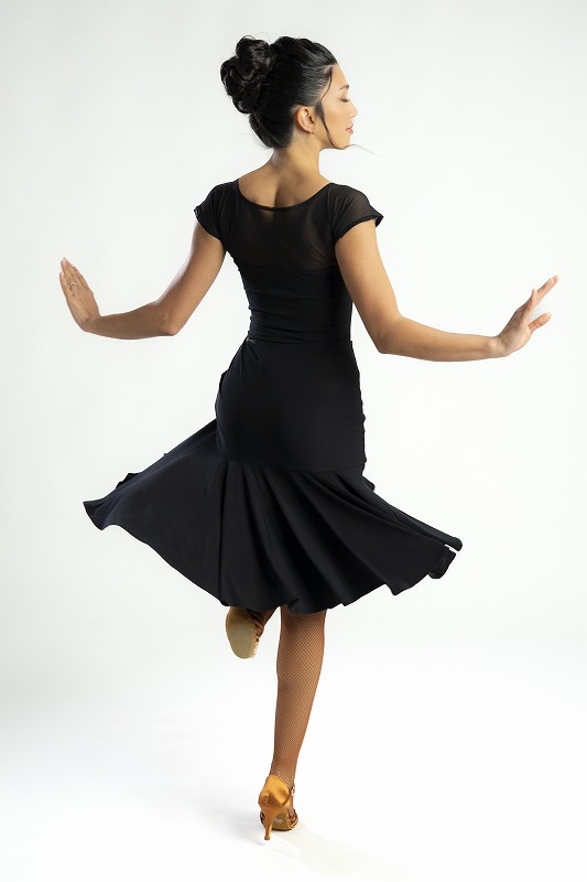 �ڼ���ȯ���ۡ����ꥹ���󥯥����С�����������  �ƥ���ƥ󥹥�����  �֥�å�