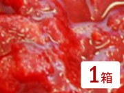 FE饺٥꡼E-7251kg5-K