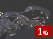 FE֥롼٥꡼E-6051kg5-K