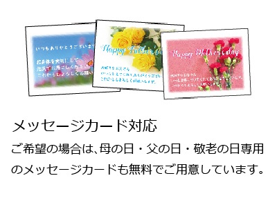 �鿥chiori��2������ʤ��ޤ���(R)���ߤ����