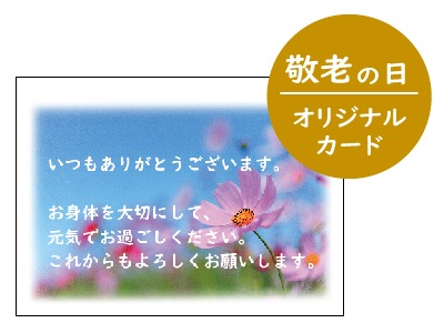 �鿥chiori��2������ʤ��ޤ���(R)���ߤ����