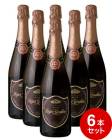 �٥��ȥ��顼 6�ܥ��å� �����㡼���顼�� ������ ���� �֥��å� (ˢ ����)���ǿ�������ơ����Ǥ��Ϥ�ͽ�� [J]