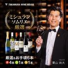 ����̵�� ��242�� ���������꺢 6�� �磻�� ���å� (ˢ1 ��1 ��4) (�ɲ�6��Ʊ����) [T]