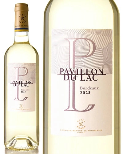 �ѥ������ �ǥ� ��å� �ܥ�ɡ� �֥�� [ 2023 ]�ɥ᡼�� �Х��� �� �����ȥ���� ( ��磻�� ) 