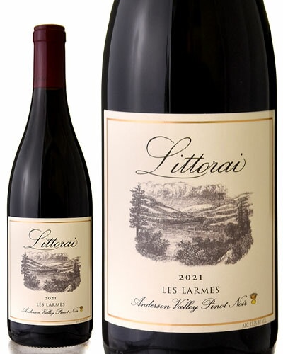  졼   ԥ Υ [ 2021 ]ȥ饤 ( ֥磻 ) [S]