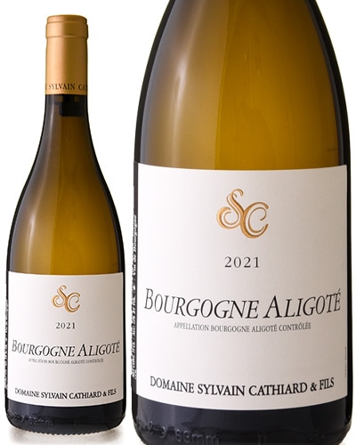 ¹ ֥르˥ ꥴ [ 2021 ] ƥ ( 磻 )[S]