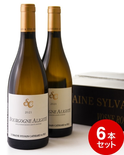 ¹ Ȣ 6ܥå ֥르˥ ꥴ [ 2021 ] ƥ ( 磻 )ƱԲ[S]