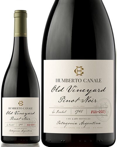 ������� ������䡼�� �ԥ� �Υ�� [ 2024 ]����٥�� ���ʥ� ( �֥磻�� ) [K] 