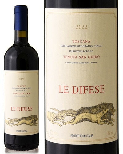  ǥե [ 2022 ]ƥ̡   ( ֥磻 ) [K]