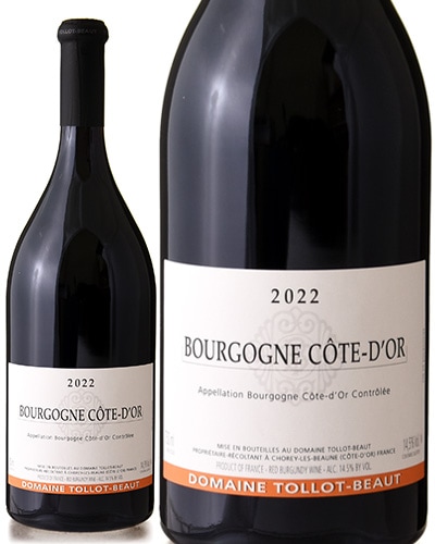 ֥르˥  ɡ 롼 [ 2022 ]ɥ᡼ ȥ ܡ ( ֥磻 ) [S]