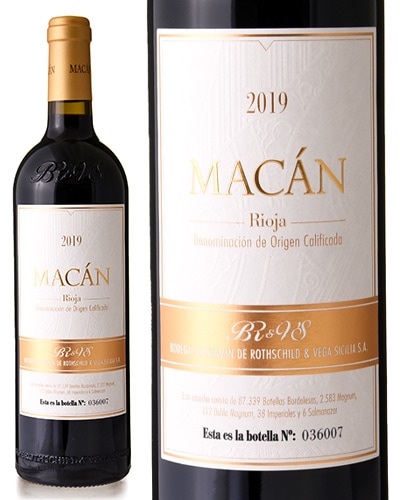 �ޥ��� [ 2019 ]�ܥǥ��� �٥󥸥�ߥ� �� �����ȥ����&�٥� �����ꥢ ( �֥磻�� ) [K]