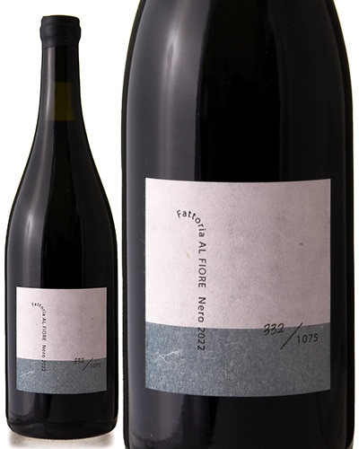 �ͥ� [ 2022 ]�ե��åȥꥢ ���� �ե������� ( �֥磻�� ) [S]