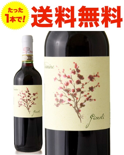 ̵ƥ ǥߥ [ 2021 ]祳 ( ֥磻 ) [S]