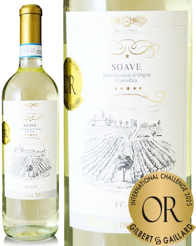 ١䡼2025޼  [ 2024 ]å ǥ  ( 磻 ) [S]