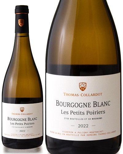 ֥르˥ ֥ ץƥ ݥꥨ [ 2022 ]ɥ᡼ ȥ  ( 磻 ) [S]