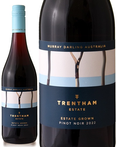 �����ơ��� �ԥ� �Υ�� [ 2023 ]�ȥ�󥵥� �����ơ��� ( �֥磻�� ) [S]