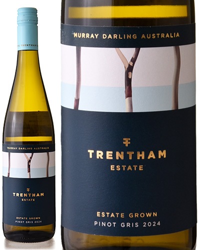 ơ ԥ   [ 2024 ]ȥ󥵥 ơ ( 磻 ) 