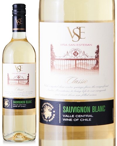 VSE 饷å ˥ ֥ [ 2024 ]˥  ƥХ ( 磻 ) [S]